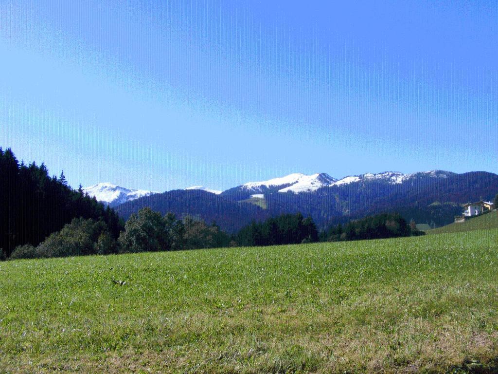 Landgasthof Dorferwirt โอเบอเอา ห้อง รูปภาพ